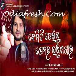 Kemiti Deinlu Premara Laxmanagara